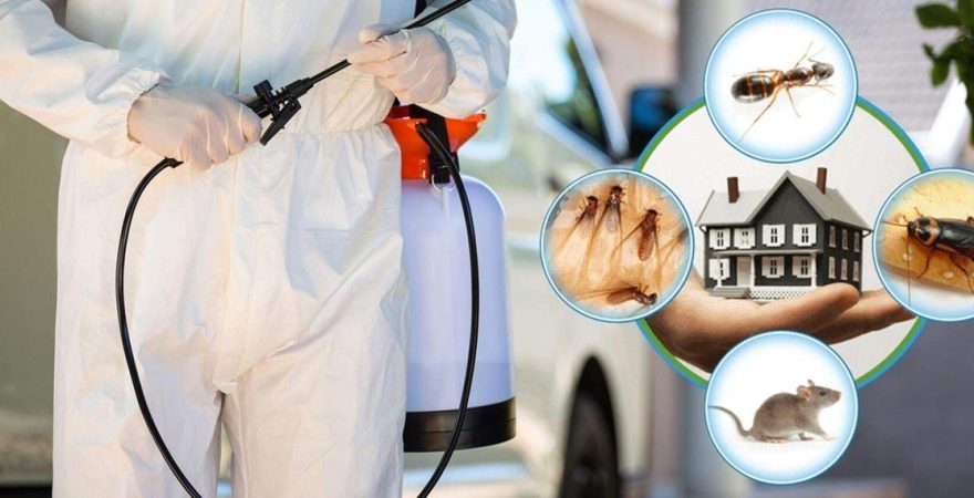 Hemşin Böcek İlaçlama