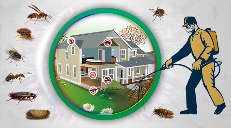 Hemşin Böcek İlaçlama