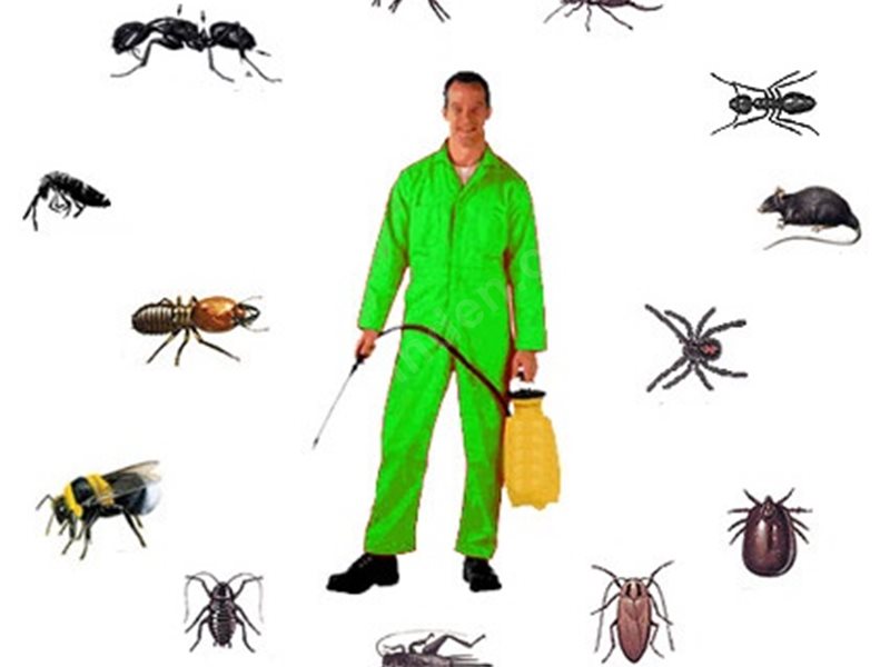 Hemşin Böcek İlaçlama